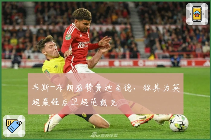 韦斯-布朗盛赞费迪南德，称其为英超最强后卫超范戴克