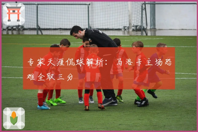 专家天涯侃球解析：马洛卡主场恐难全取三分