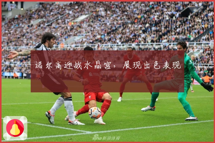 诺尔高迎战水晶宫，展现出色表现