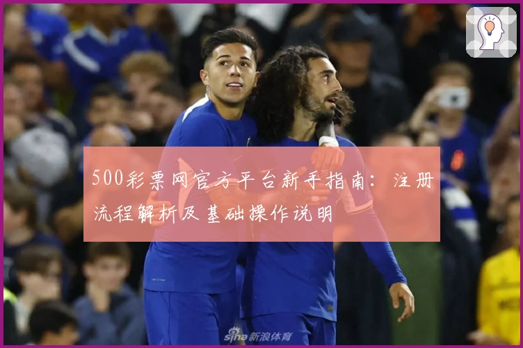 500彩票网官方平台新手指南：注册流程解析及基础操作说明